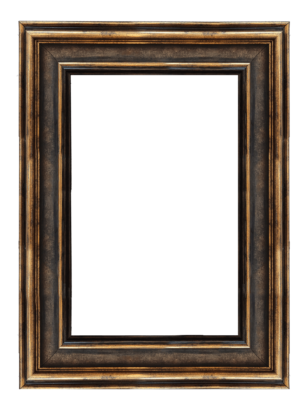 DY481-1